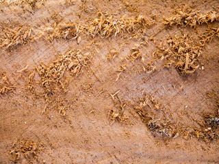 wood texture background