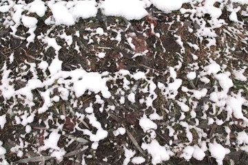 Snow on grass