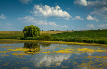 Obraz na płótnie Canvas Pond among the fields