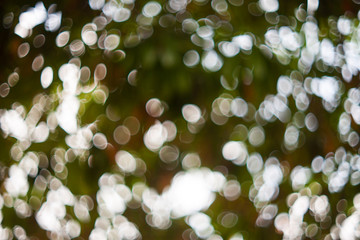 Abstract natural blur bokeh, Blur natural green bokeh background