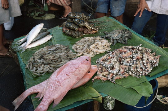 Fish market, Jakarta, Java, Indonesia