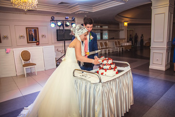 bride and groom cut the wedding cake