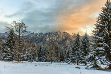 Sunset over the snowy mountains and forest.