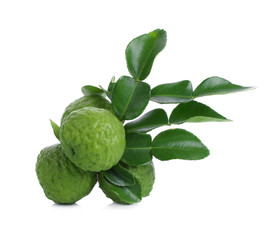  Bergamot isolated on white background