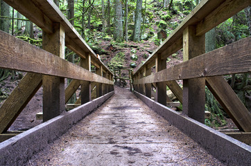 Fototapeta premium Looking Down a Wooden Bridge