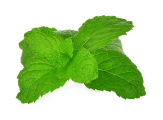 fresh mint leaves on a white background
