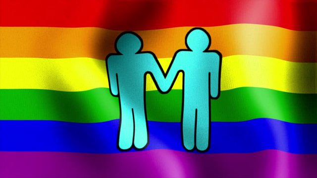 10571 waving rainbow flag two male sign
