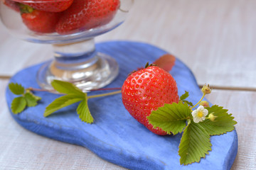 Big and juicy strawberry and blossoming flower on blue board close up