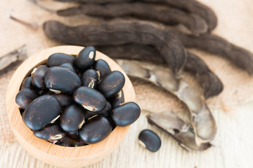 nettles brown pods (Mucuna pruriens) on white background