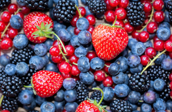 Berries viriety - berries background: strawberries, currants; blueberries; blackberries