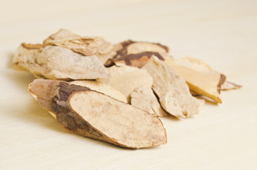 Trigonostemon reidioides Kurz Craib isolated on wood