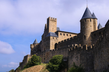 Fototapeta na wymiar Citadel of Carcassonne, (France)