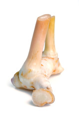 Fototapeta premium Galangal isolated on the white background