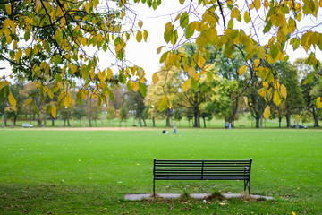 Bench in the park.