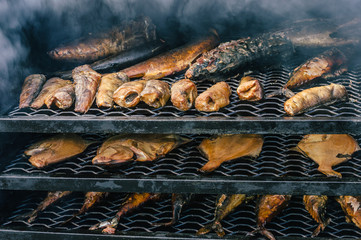 Fish in the smoking oven. Different varieties of fish are on the shelves in the smokehouse