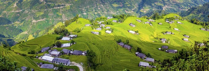 Rice fields on terraced of Hoang Su Phi, Ha Giang, Vietnam. Rice fields prepare the harvest at Northwest Vietnam.Vietnam landscapes.