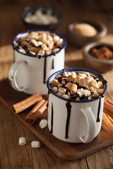 s'mores hot chocolate mini marshmallows cinnamon winter drink