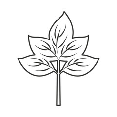leafs plant isolated icon vector illustration design