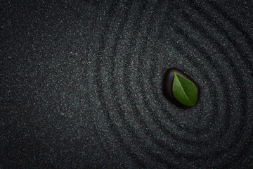 Zen garden with wave lines in the black grain sand with a green