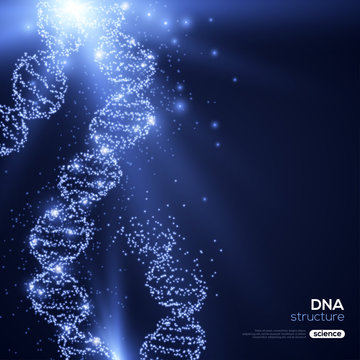 Shining DNA Spirals