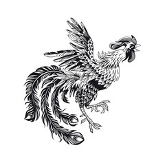 cock black and white