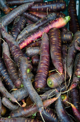 Purple carrots for sale at the farmers market