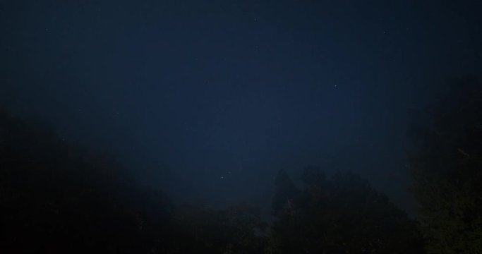 Tongue Point, Washington, USA - view straight up along treetops to the clear starry sky at night until fog - Timelapse with zoom out 