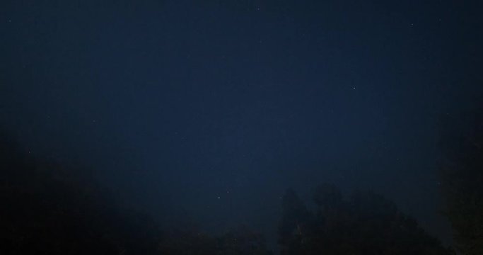 Tongue Point, Washington, USA - view straight up along treetops to the clear starry sky at night until fog - Timelapse with zoom in