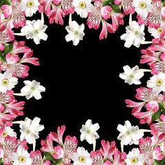 Beautiful pattern of white and pink flowers  