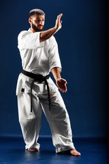 Karate man in a kimono in fighting stance on a blue background