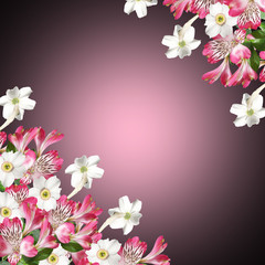 Beautiful pattern of white and pink flowers