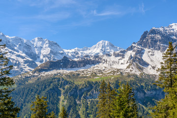 Fototapeta premium The Swiss Alps at Murren, Switzerland. Jungfrau Region. The valley of Lauterbrunnen from Interlaken.
