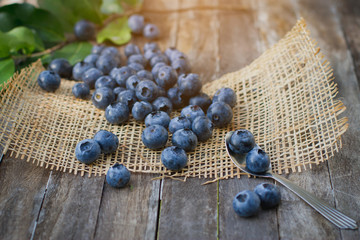 Bowl of blueberries in morning light. Blueberries on wooden background.