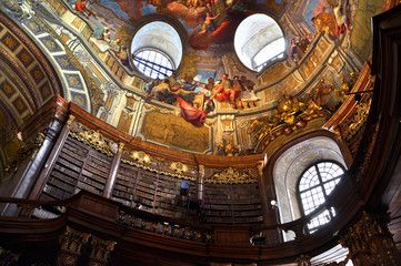 Vienna baroque library