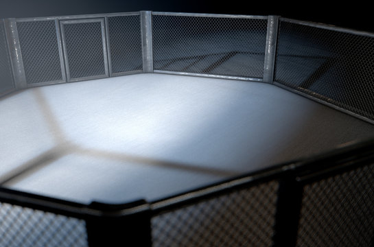 MMA Cage Night