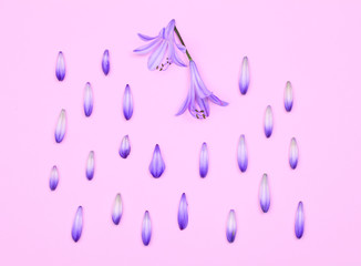 Flat lay. Top view of blue flowers