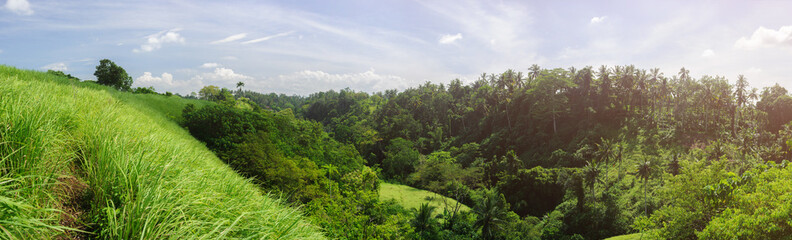 Panoramic view of campuhan ridge walk in Ubud, Bali