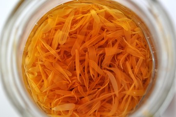 Macerating marigold (calendula) petals in alcohol in a bottle - top view close up