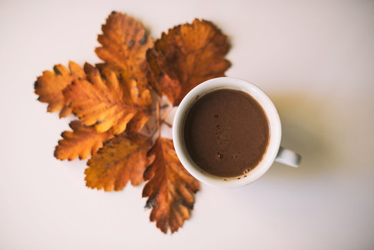 Coffee Cup Surrounded By Autumn Leaves On Table