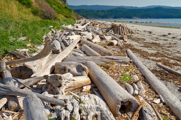 Pales of logs at the ocean beach in Vancouver, Canada.