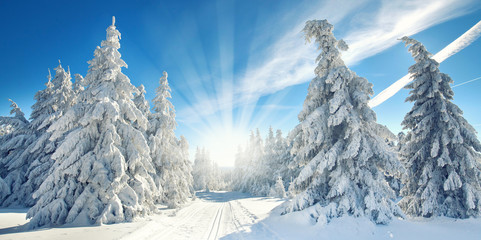 Fototapeta na wymiar Sonne im zauberhaften Winterwald, Winterlandschaft