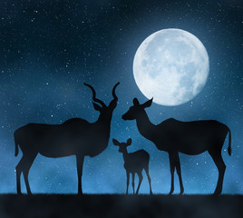 Silhouette Greater Kudu in night sky with moon.