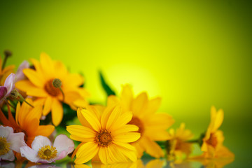 Summer bouquet of yellow daisies