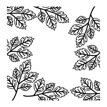 Leaves frame icon. Decoration rustic garden floral nature plant and spring theme. Isolated design. Vector illustration