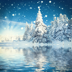 Fototapety  magiczny zimowy las, zimowy krajobraz z jeziorem