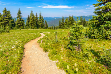 Obraz premium Beautiful Mountain Trail. Blackwall Peak Trail at Manning Park in British Columbia. Canada.