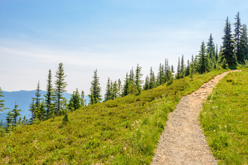 Fototapeta premium Beautiful Mountain Trail. Blackwall Peak Trail at Manning Park in British Columbia. Canada.