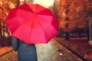 Portrait of  woman with .purple umbrella - view with back, standing over background of golden autumn