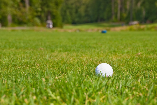 Golf ball on green.