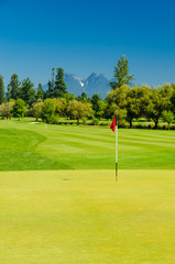 Obraz premium Golf course with gorgeous green and flag